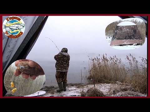 Видео: Рыбалка ШОК, такой сильной рыбы я ещё не ловил, донки в дугу, бешеный клев монстров.