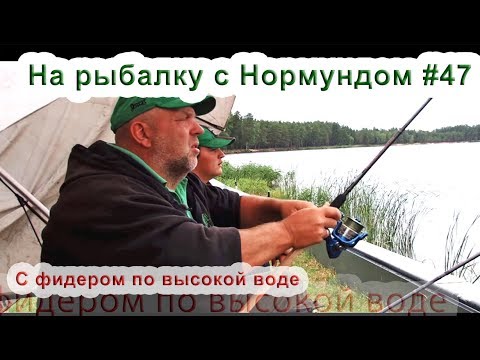 Видео: С фидером по высокой воде : На рыбалку с Нормундом #47