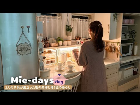 Видео: Домохозяйка и 3 кошки: прихожая, свет, рецепты, годовщина, прогулки