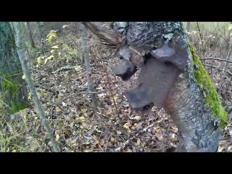 Видео: Металлокоп  ⚙ Металлолом вдоль полей