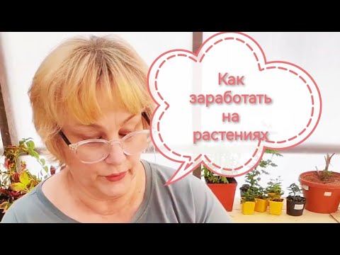 Видео: Как зарабатывать на растениях. Беседа 1
