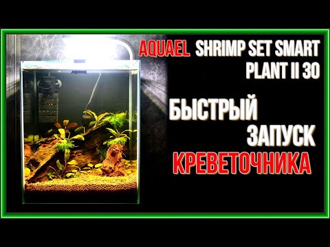 Видео: Запуск креветочника на 30 литров. AQUAEL SHRIMP SET SMART PLANT II 30.