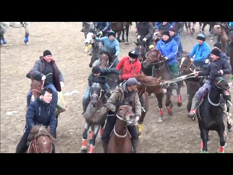 Видео: 03 12 2022 кокпар Келес ауданы Күнгебай әулеті