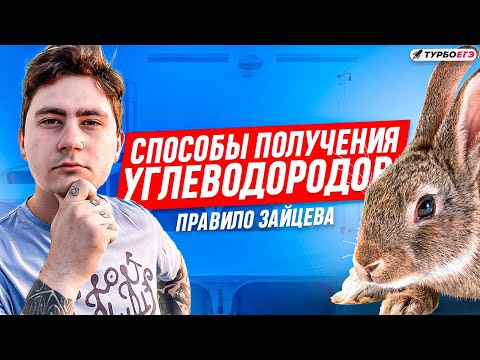 Видео: Углеводородный интенсив | Веб 3: Способы получения углеводородов | ТурбоЕГЭ