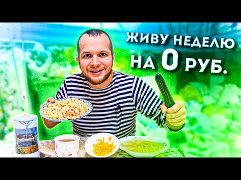 Видео: КАК ПРОЖИТЬ ВСЮ НЕДЕЛЮ НА 0 РУБЛЕЙ?!