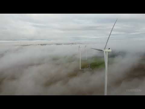 Видео: NeoDauz - Сезесің бе✨