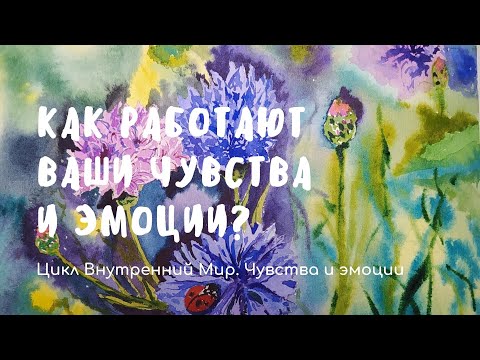 Видео: Как работают ваши чувства и эмоции?
