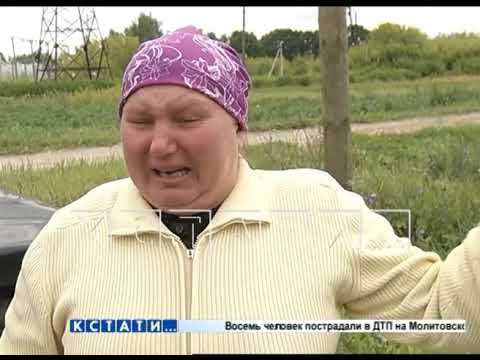 Видео: Массовый забой - карантин по африканской чуме свиней введен в Перевозском районе