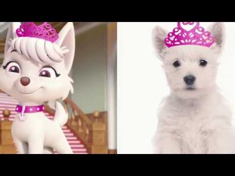 Видео: 10 РЕАЛЬНЫХ СОБАК ИЗ ЩЕНЯЧЬЕГО ПАТРУЛЯ