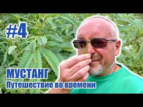 Видео: Тибетский буддизм Бон и язычество в Кагбени - МУСТАНГ: Путешествие во времени #4