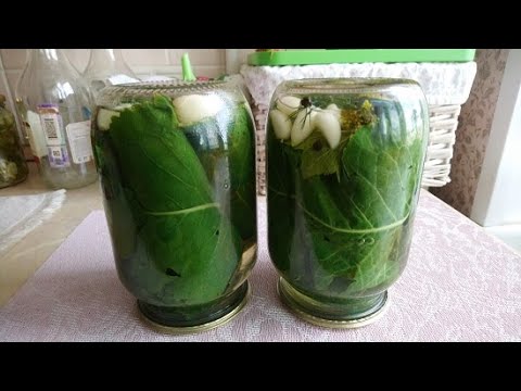 Видео: Вкуснейшие ОГУРЦЫ в листьях хрена на зиму.