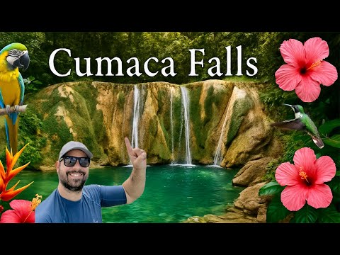 Видео: Водопады Кумака и водопады Туруре представляют собой серию захватывающих водопадов в Тринидаде!