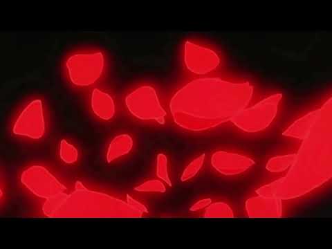 Видео: MELOVIN - і кров кипить (slowed + reverb)