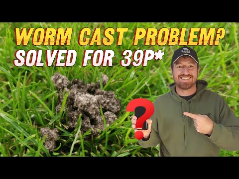 Видео: Самый простой способ удалить следы червей с вашего газона (стоимость 39 пенсов!)