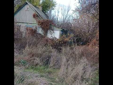 Видео: Празднуют Казанскую сегодня...