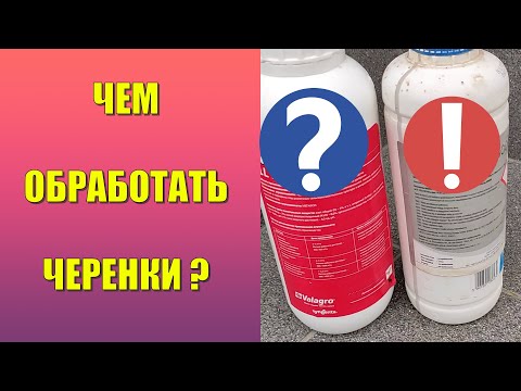 Видео: Черенкование голубики дома. Часть 3. Чем обработать черенки от болезней?