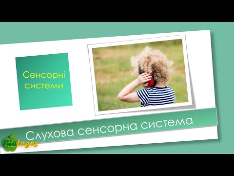 Видео: Слухова сенсорна система