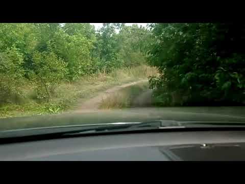 Видео: Cтавок возле с. Кузнецово