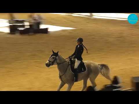 Видео: Конкур 120 см., открытый класс. Группа 1, Чемпионат РК. Астана, 22-10-23