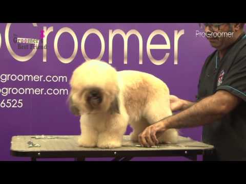 Видео: Как ухаживать за лхасским пу — Стрижка питомца — Руководство по уходу — Профессиональный грумер
