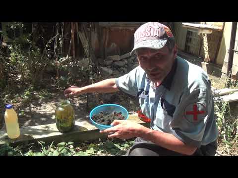 Видео: Делают царскую водку и растворяю металлы