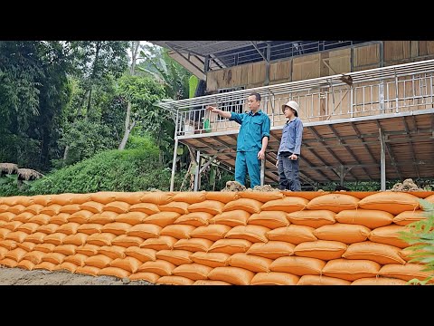 Видео: ПОЛНОЕ ВИДЕО: Решительный путь бедного мальчика к заработку и простой жизни