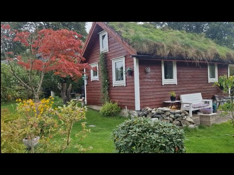 Видео: Норвежские дачи с потрясающими участками📌и огородами📍Кто за ними ухаживает? 