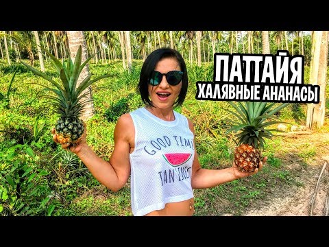 Видео: Куда НЕ добираются туристы в Паттайе? Прекрасное место и обед в Mountain Coffee at Zoo.