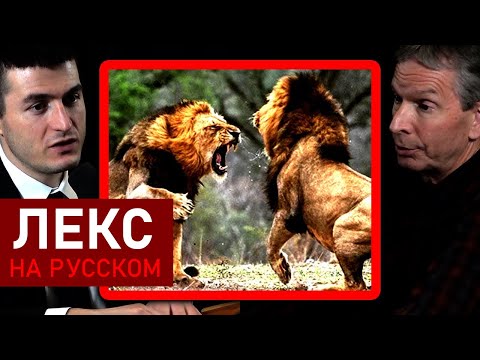 Видео: Теория игр ошибочна? | Дональд Хоффман и Лекс Фридман