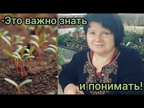 Видео: ПОСЕВ семян и  ВЫРАЩИВАНИЕ рассады. ВАЖНЫЕ  МОМЕНТЫ!!!