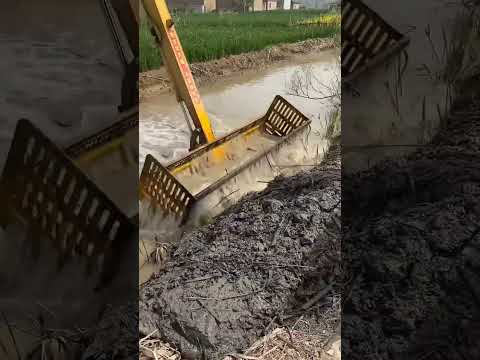 Видео: JCB поймал рыбу 🐠🐟 из реки [149]