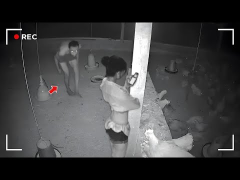 Видео: Невероятные моменты, снятые на камеру… Сцены, которые вас поразят!