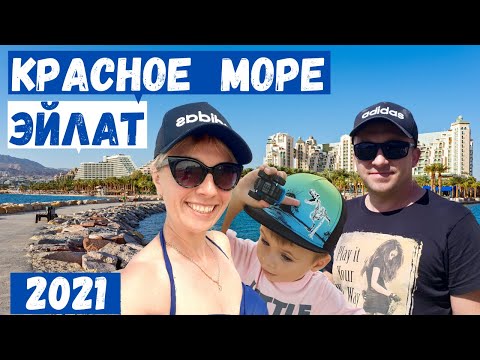 Видео: ЭЙЛАТ 2021/ДЕЛЬФИНИЙ РИФ/ОКЕАНАРИУМ/ICEMALL