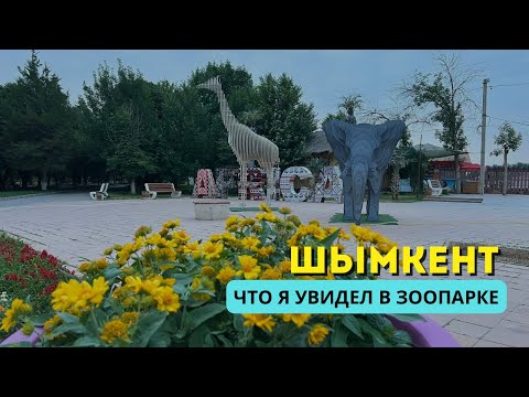Видео: Шымкент. Что я увидел в зоопарке.