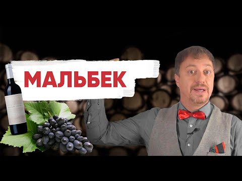 Видео: [МАЛЬБЕК] любимый виноград аргентинцев, почти потерянный во Франции