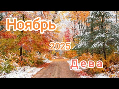 Видео: ДЕВА♍ НОЯБРЬ 2025🍁 Тароскоп 🍁