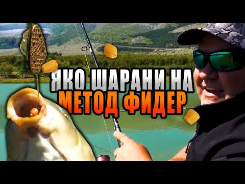 Видео: Яко ШАРАНИ на МЕТОД фидер край Кюстендил - II част