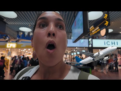 Видео: Всё, что я съела. Из Атланты🇺🇸 в Гент🇧🇪 Пересадка в Копенгагене! 🇩🇰 🛫 🚄