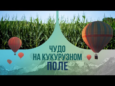 Видео: Чудо на кукурузном поле: как нашему пилоту удалось посадить аварийный самолет?