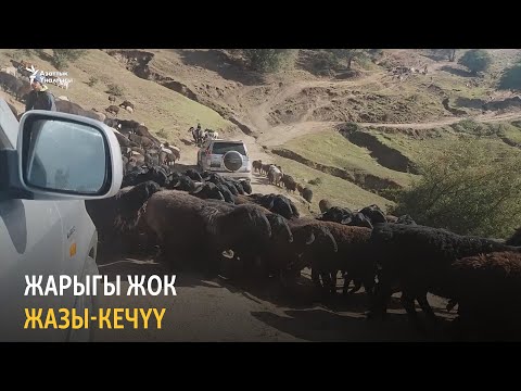 Видео: Жарыгы жок Жазы-Кечүү