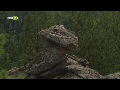 Видео: Ландшафтно-исторически парк "Градище" - Долно Дряново, "10 000 крачки" - 18.10.2021