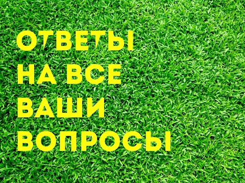 Видео: Ответы на ваши вопросы | улиточная ферма | Португалия | Muller | Maxima | Бизнес 2020 |