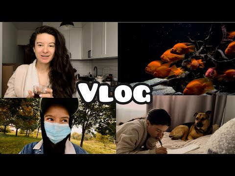 Видео: прірва між людьми | ефект новизни |медитативні рибки | оце так історія в океанаріумі | 