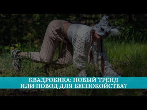 Видео: Квадробика: новый тренд или повод для беспокойства?