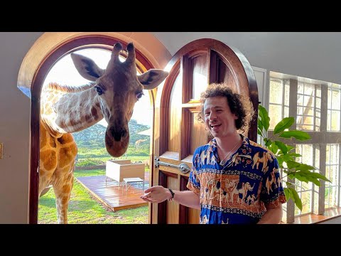 Видео: Знаменитый отель с жирафами в Африке | Стоит ли тратить СТОЛЬКО? 🦒