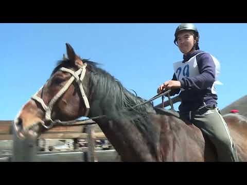 Видео: Бора-Булак 2025