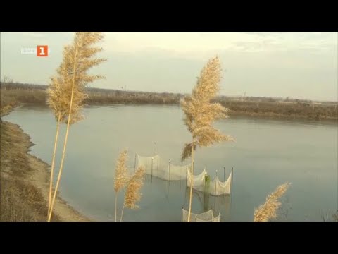 Видео: Двама мъже зад граница и една българска мечта - "Бразди" - 18.03.2023 по БНТ