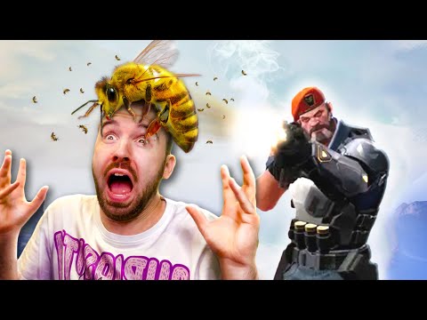 Видео: ОТВЕДАЙ МОЙ ПЧЕЛОМЁТ!