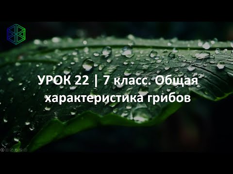 Видео: УРОК 22 | 7 класс. Общая характеристика грибов