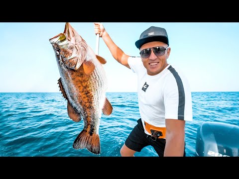 Видео: Рыбалка в Дубае! Наша квартира в ОАЭ. Цены в Эмиратах